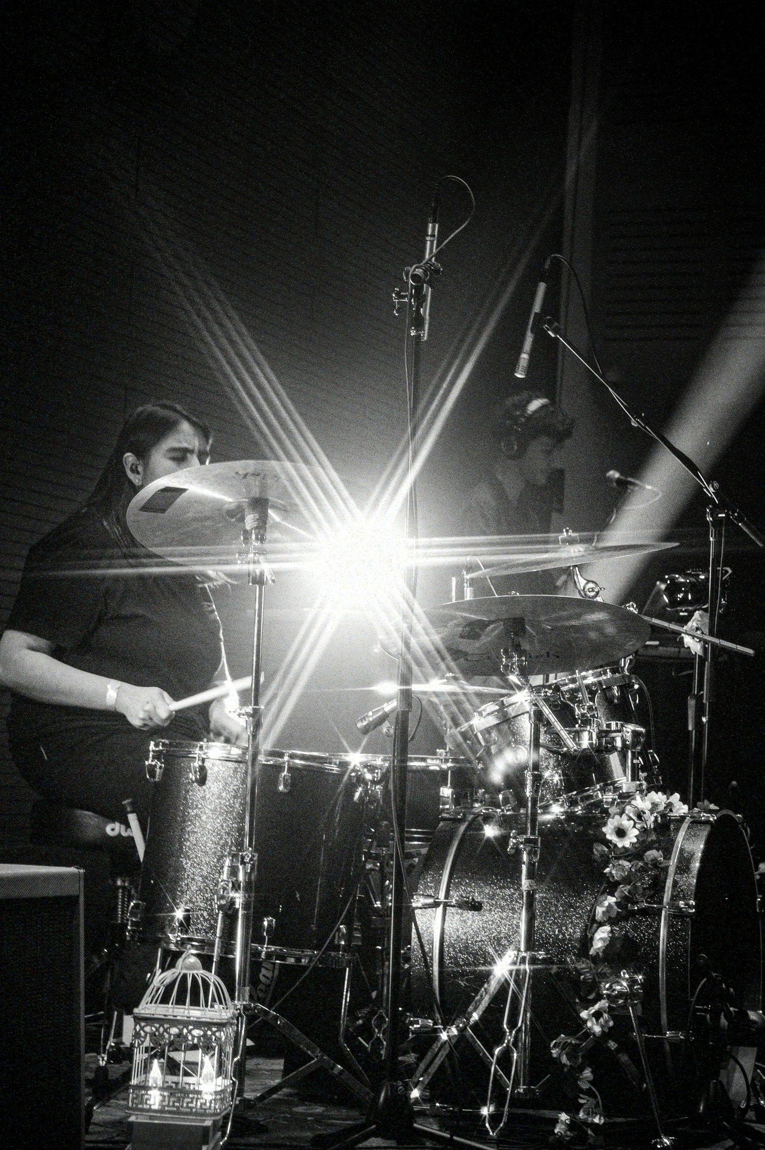 El Significado de las Flores - Ciclo Nuevo Rock